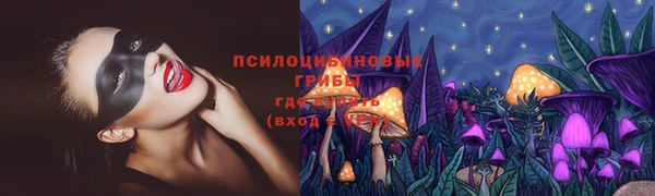 не бодяженный Богданович