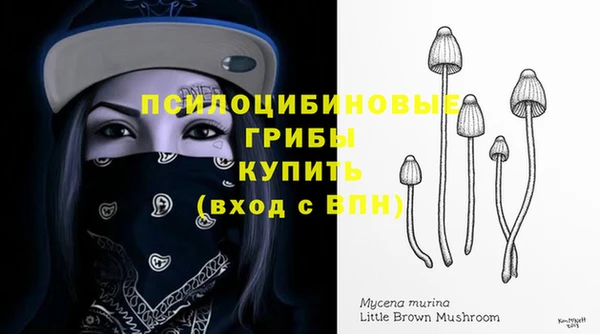 винт Белокуриха