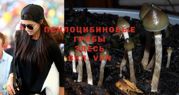 не бодяженный Богданович