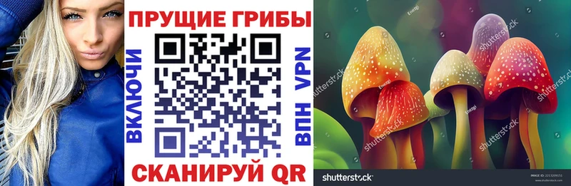 цена наркотик Ленинградская Псилоцибиновые грибы Cubensis
