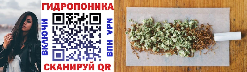 Канабис White Widow  наркошоп  Ленинградская 